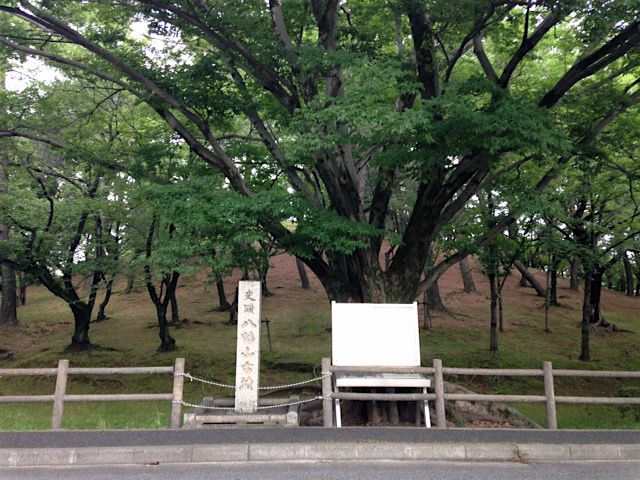 昭和区マップ鶴舞公園